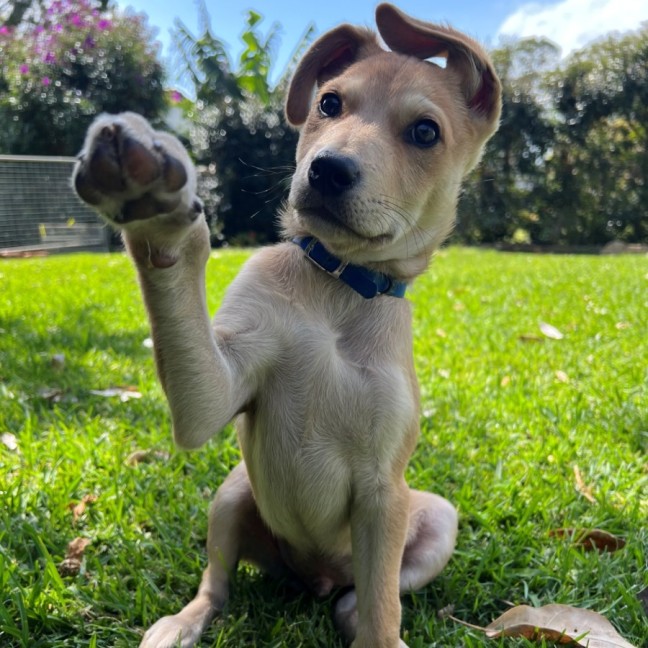 Photo of D1165 Wilson