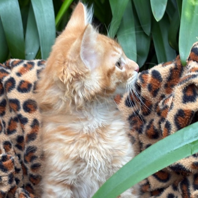 Photo of Marshall 🩵🧢🩵