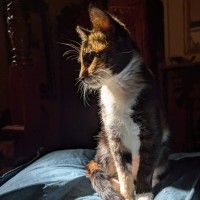 Photo of Lucy