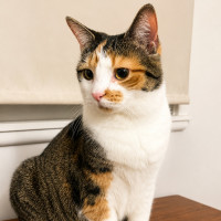 Photo of Zoe