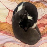 Photo of Aero + Kit Kat 