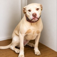 Photo of Lexy