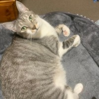 Photo of Ellie