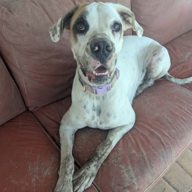 Photo of Esther 