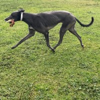 Photo of Shaun