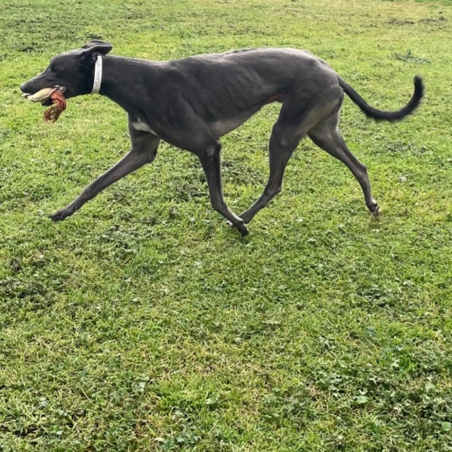 Photo of Shaun