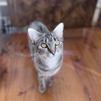 Photo of Sully 🌹🌹🌹