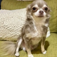 Photo of Louis