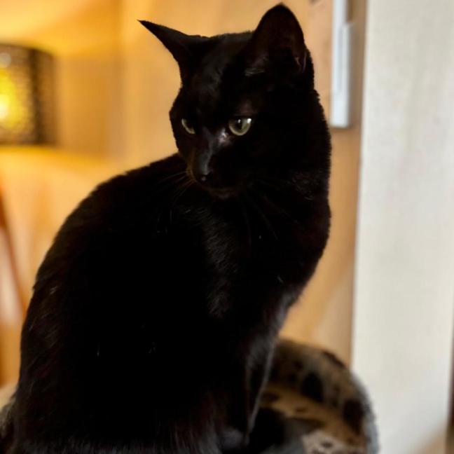 Photo of 💚 Mali 💚