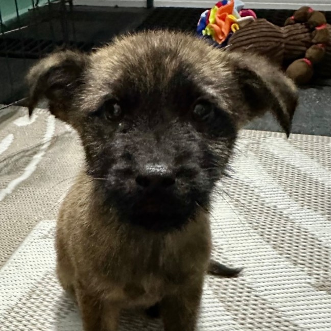 Photo of Betty 🎾🌹