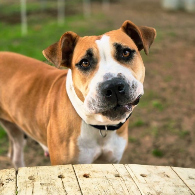 Photo of Ruby