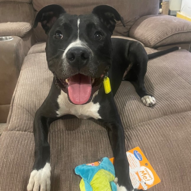 Photo of Flint