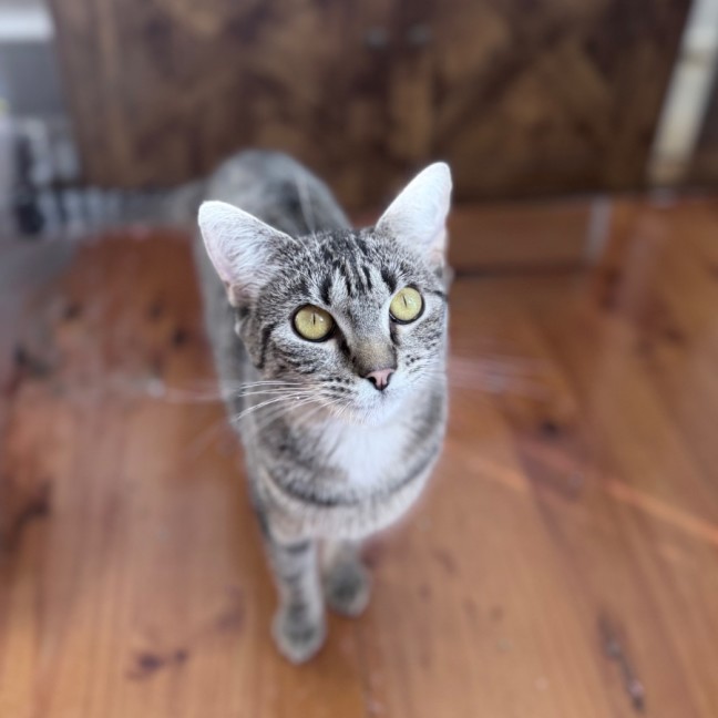 Photo of Sully 🌹🌹🌹