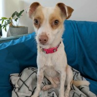 Photo of Bella
