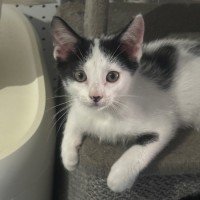 Photo of Parker 🧡💙