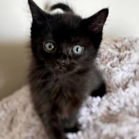 Photo of 🩷 Sabrina 🩷