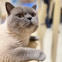 Photo of Sir Earl Grey