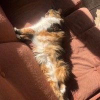 Photo of Buffy