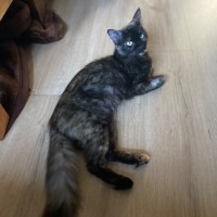 Photo of Heidi  🥰