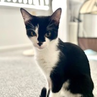 Photo of 🧡 Bandit 🧡