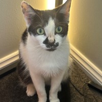 Photo of Gracey 💗