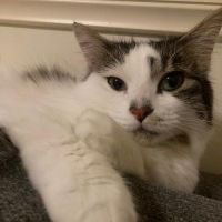 Photo of Luna