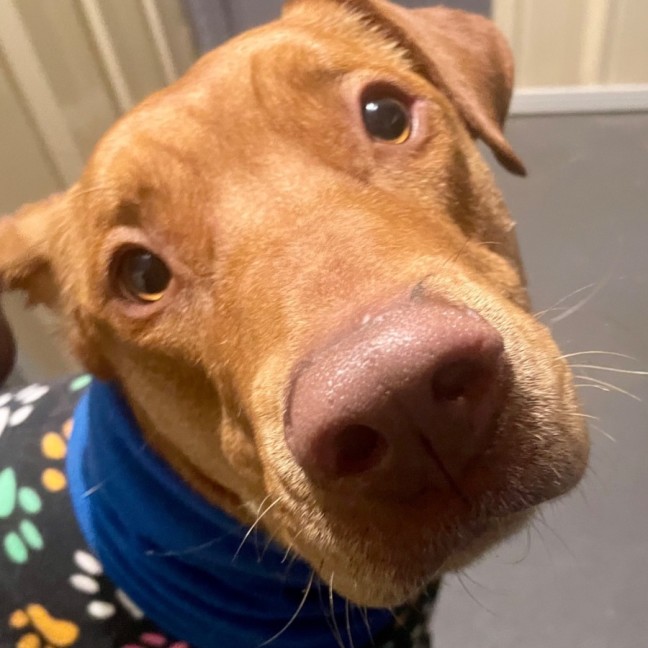 Photo of Doug 
