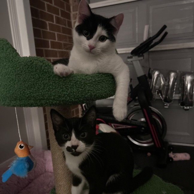 Photo of Parkway And James Bond 🥰