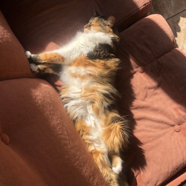 Photo of Buffy
