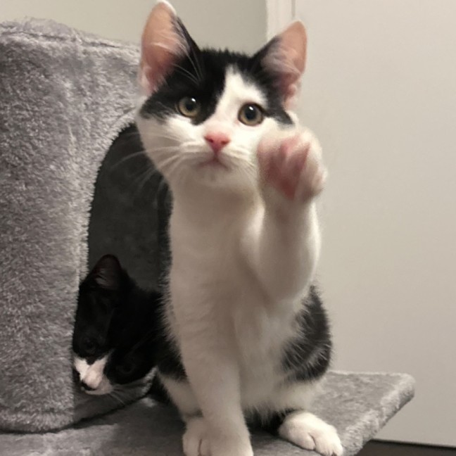 Photo of Parkway And James Bond 🥰