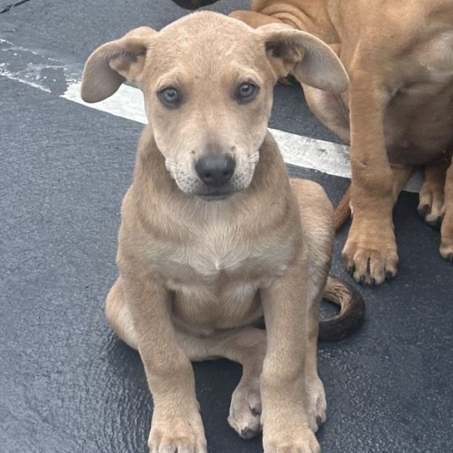 Photo of Payton ⭐️🌈🦋