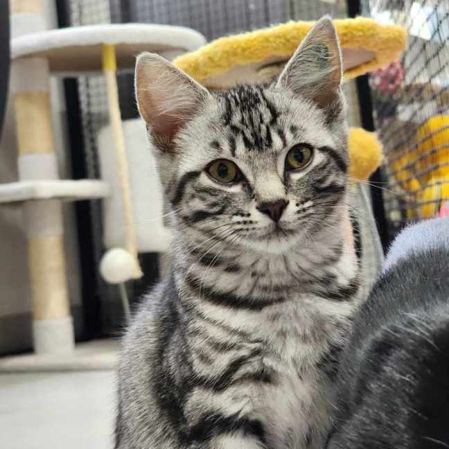 Photo of 🍰 Jam 5775 🍰