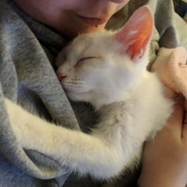 Photo of Samwise Gamgee 👑