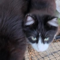 Photo of Alfie
