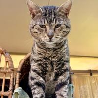 Photo of Teddy