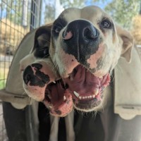 Photo of Esther 
