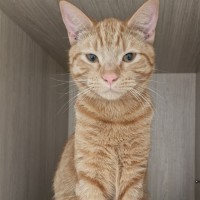 Photo of C1478 Baxter