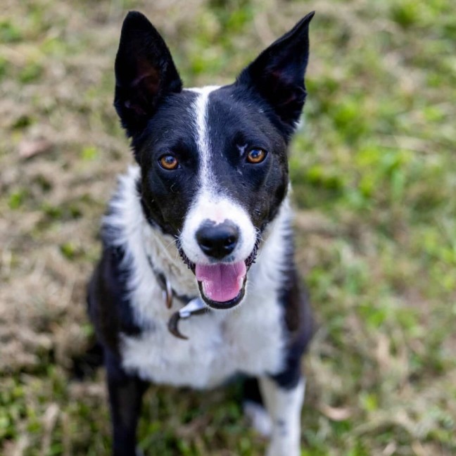 Photo of Bonnie