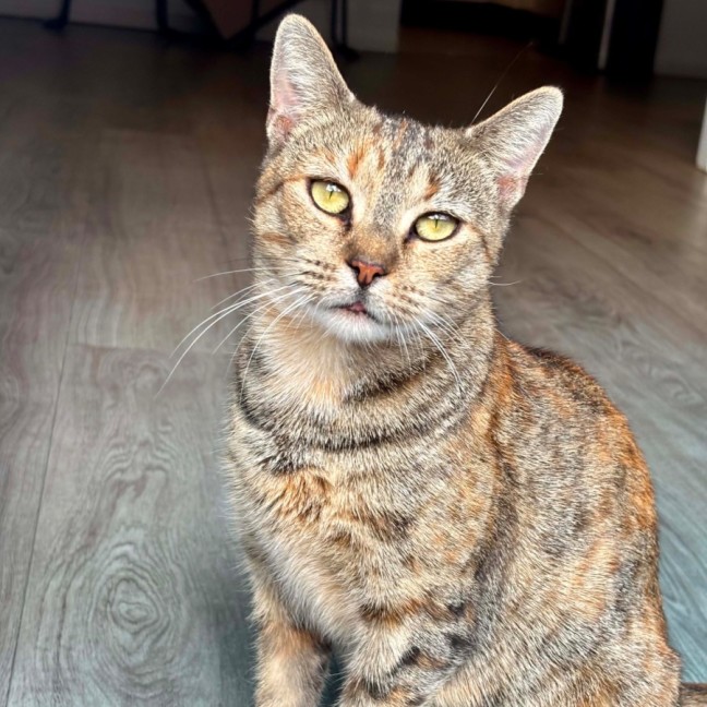 Photo of Heidi