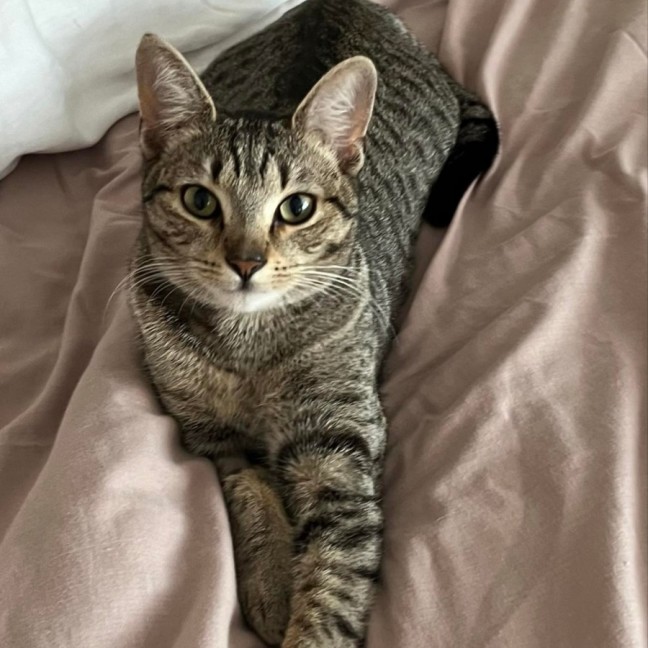 Photo of ❤️ Sarah ❤️`