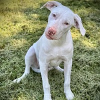 Photo of Ghost