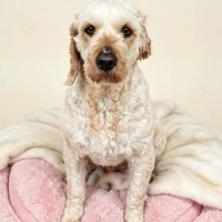 Photo of Tammy