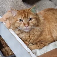 Photo of Stuart
