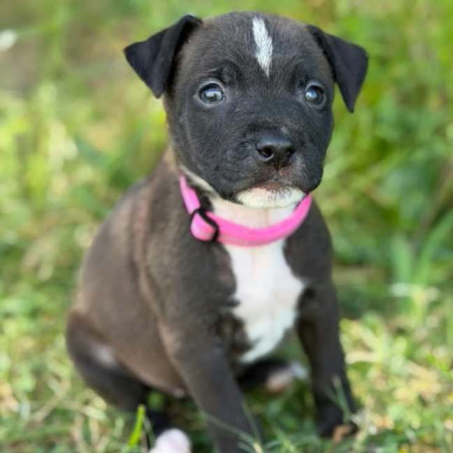 Photo of Jeanie