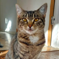 Photo of Sully 🌹🌹🌹