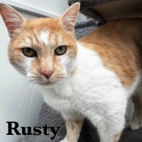 Photo of Rusty And Oscar 