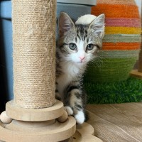 Photo of 🩷Juliet 🩷