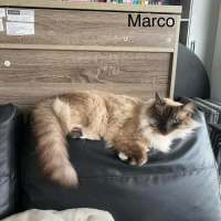 Photo of Marco And Polo