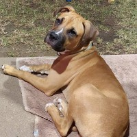 Photo of Luca