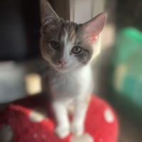 Photo of Talia
